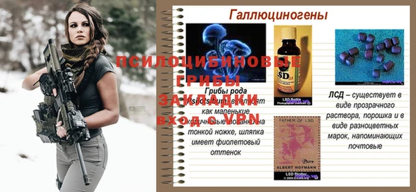 spice Баксан